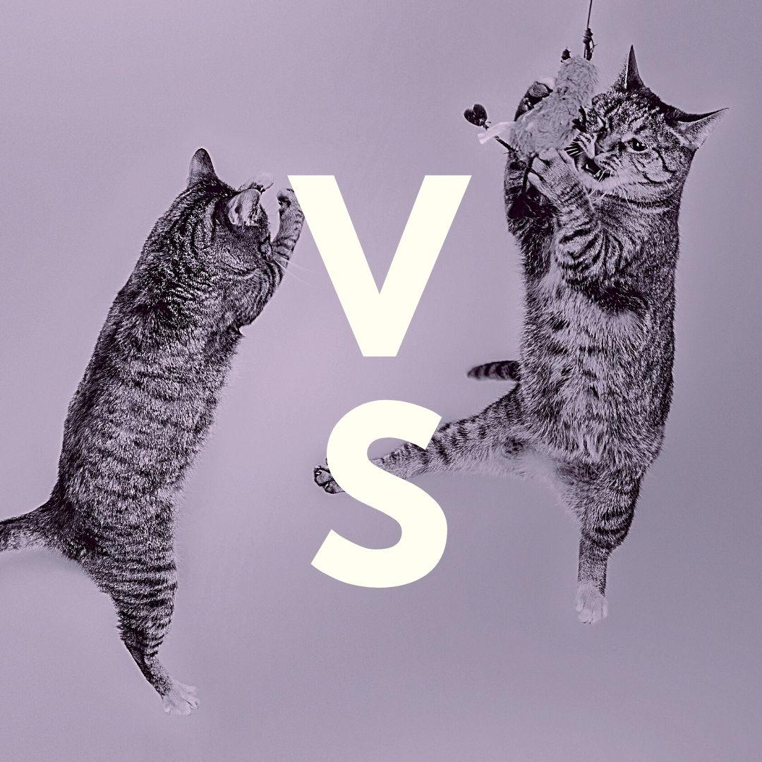 Library Databases vs. The Internet